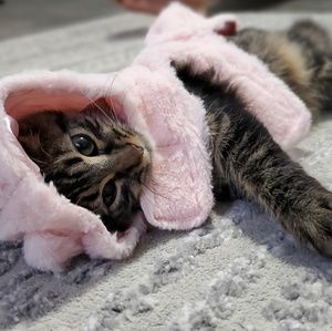 Meet your Posher, Jessica